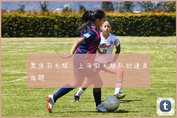 聚焦羽毛球：上海羽毛球队的速度话题