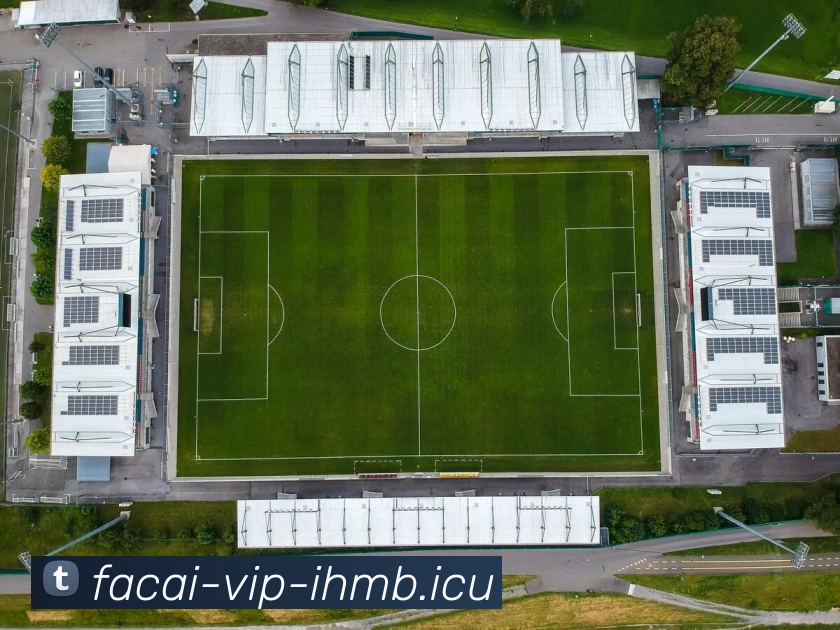 多媒体互动体验